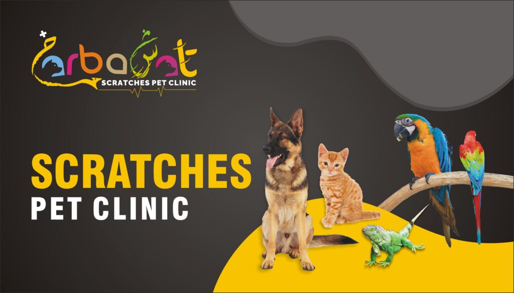 Scratches Pet Clinic Business Card