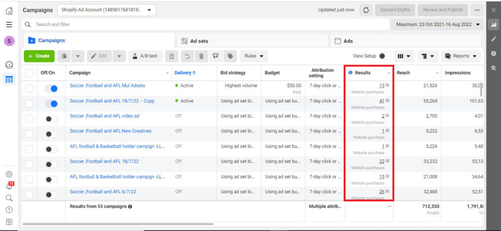 Facebook Ad Campaigns results